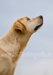 25 Paul im Portrait